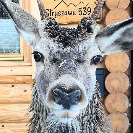 StryszawaSielsko Anielsko别墅 外观 照片